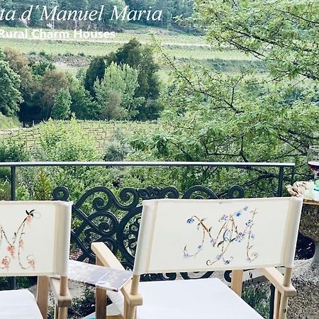 Amarante-Quinta D'Manuel Maria, Rural Charm Houses Eksteriør billede
